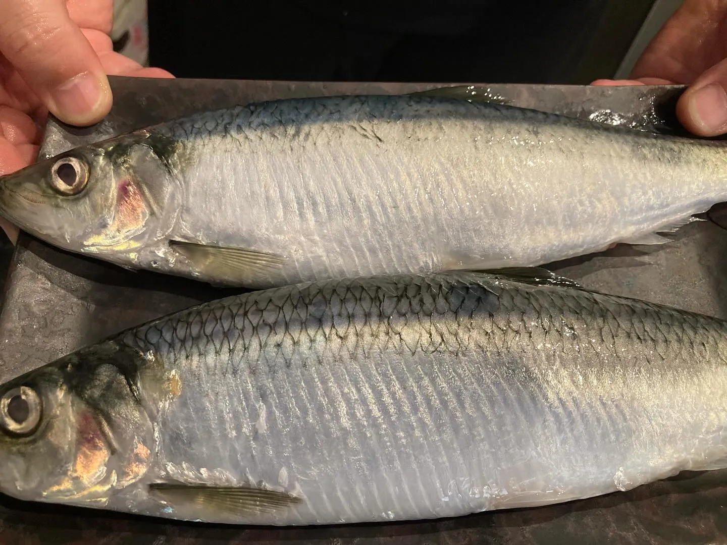 さかなの木、6月27日のメニューです。