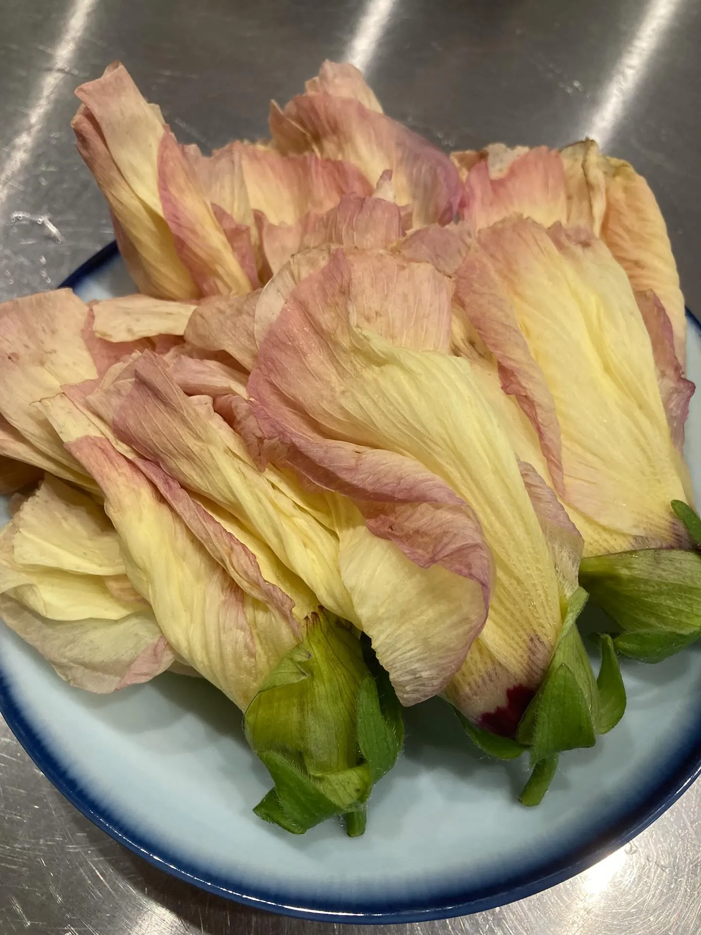 さかなの木7月16日のメニューです。