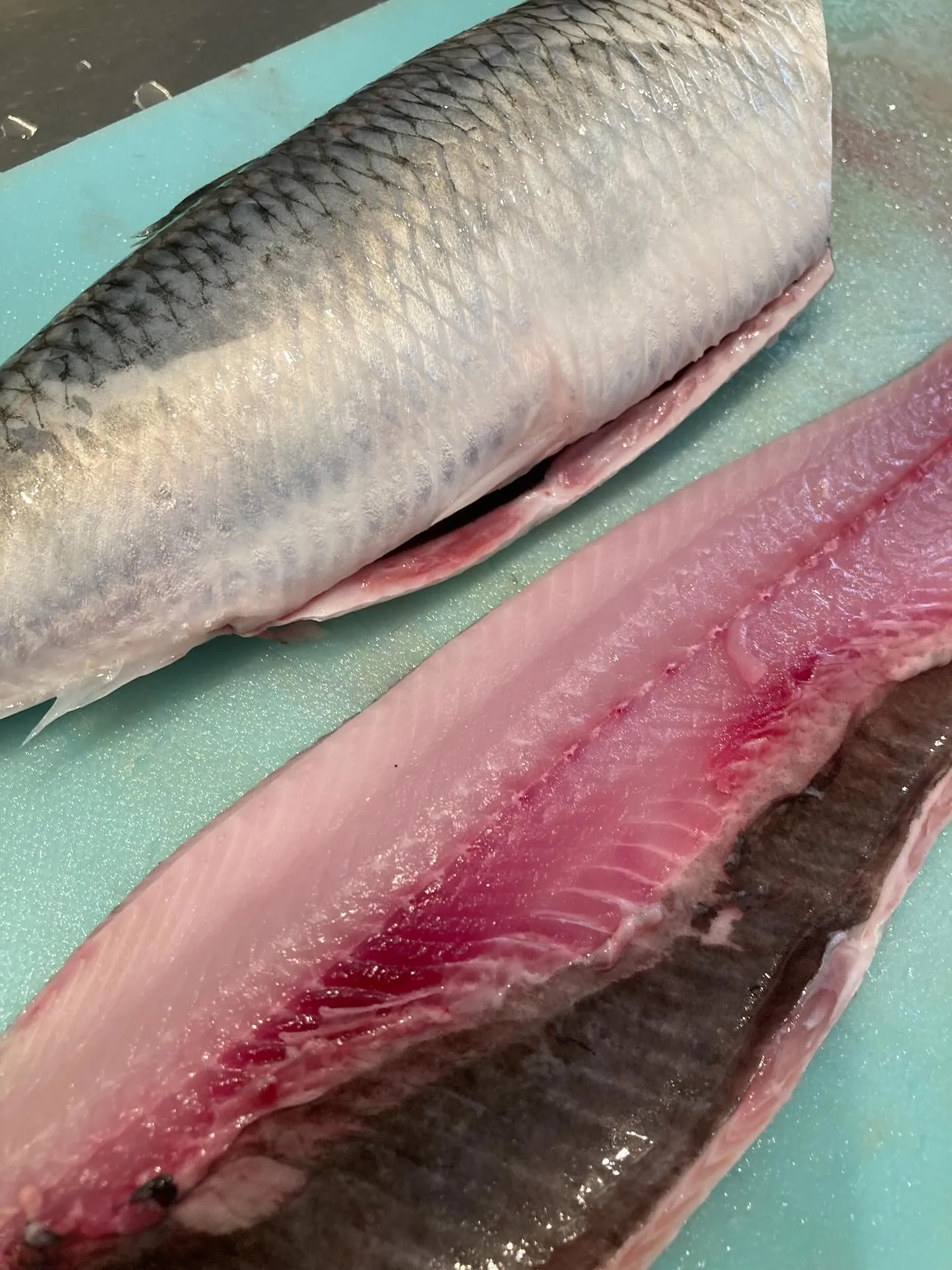 さかなの木8月5日のメニューです。