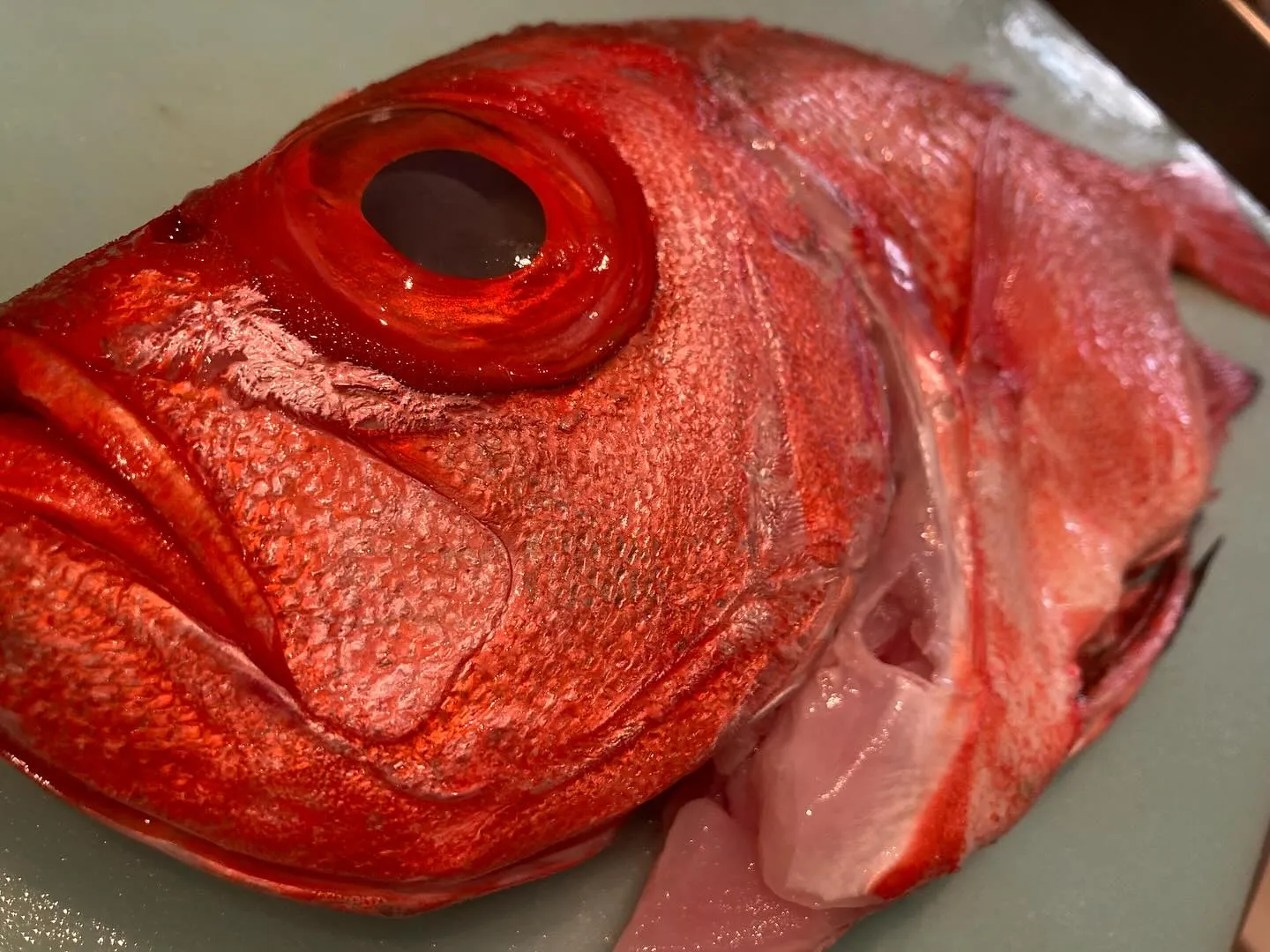 さかなの木8月7日のメニューです。