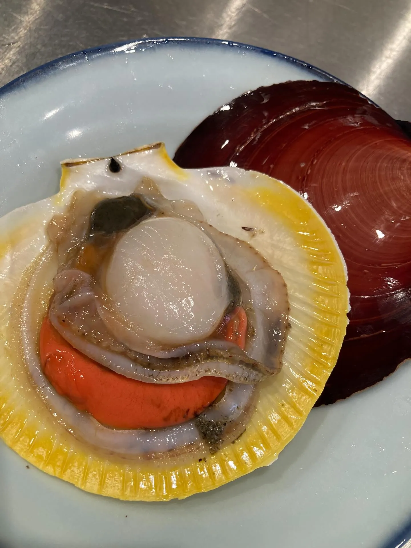 さかなの木9月24日のメニューです。